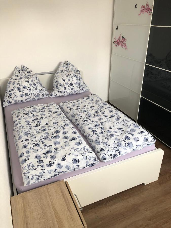 Ferienwohnung Janson Wiesenbach المظهر الخارجي الصورة